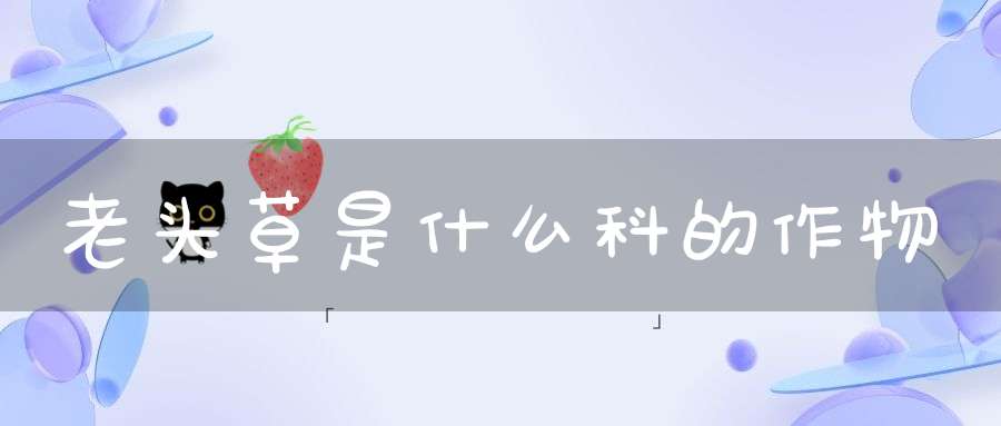 老头草是什么科的作物？