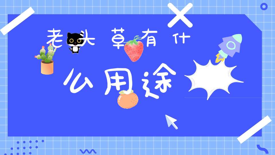 老头草有什么用途？