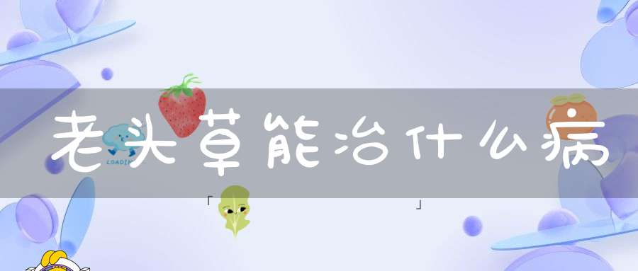 老头草能冶什么病？