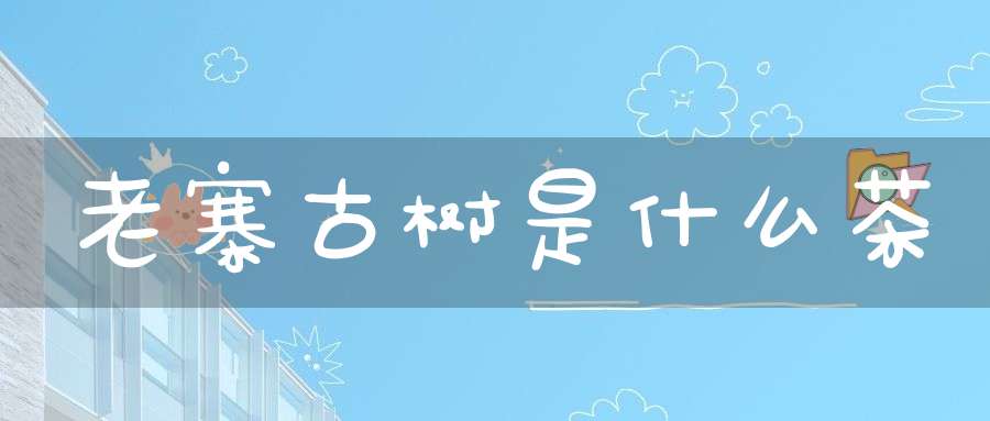 老寨古树是什么茶