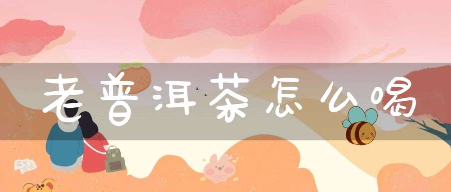 老普洱茶怎么喝