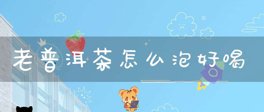 老普洱茶怎么泡好喝