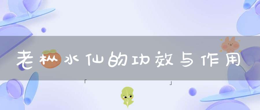 老枞水仙的功效与作用