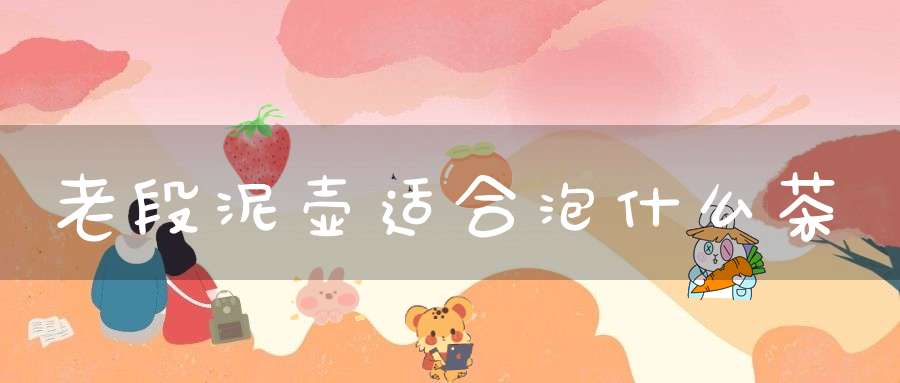 老段泥壶适合泡什么茶