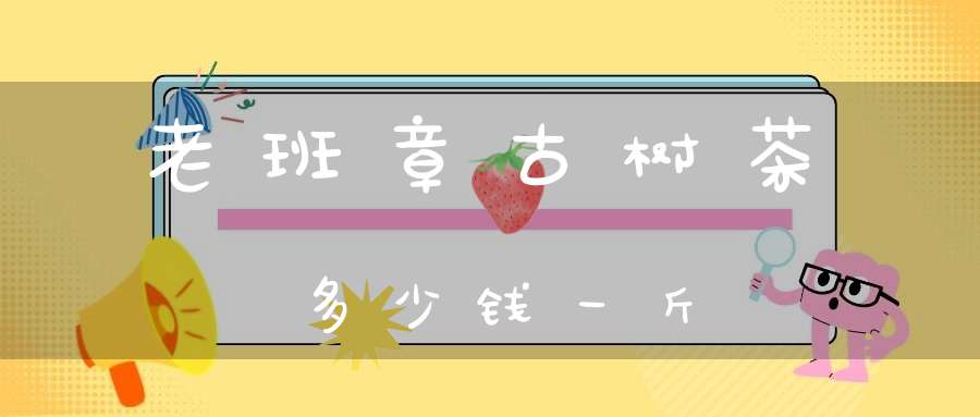 老班章古树茶多少钱一斤