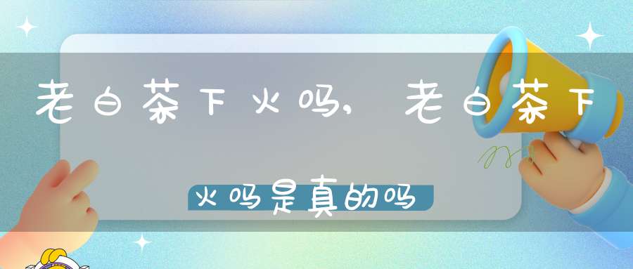 老白茶下火吗?,老白茶下火吗是真的吗