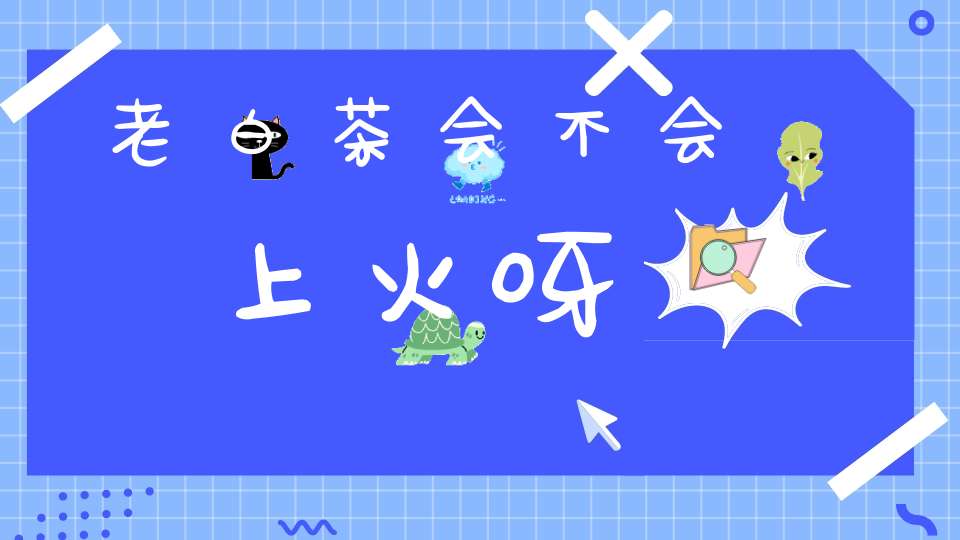 老白茶会不会上火呀