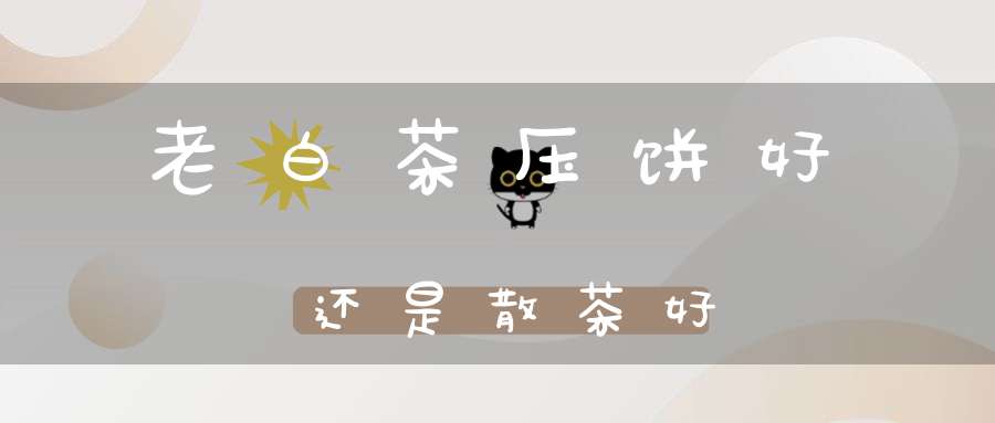 老白茶压饼好还是散茶好