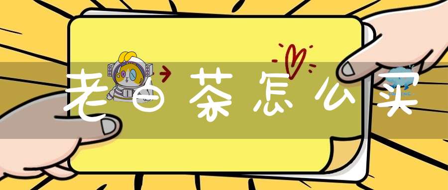 老白茶怎么买