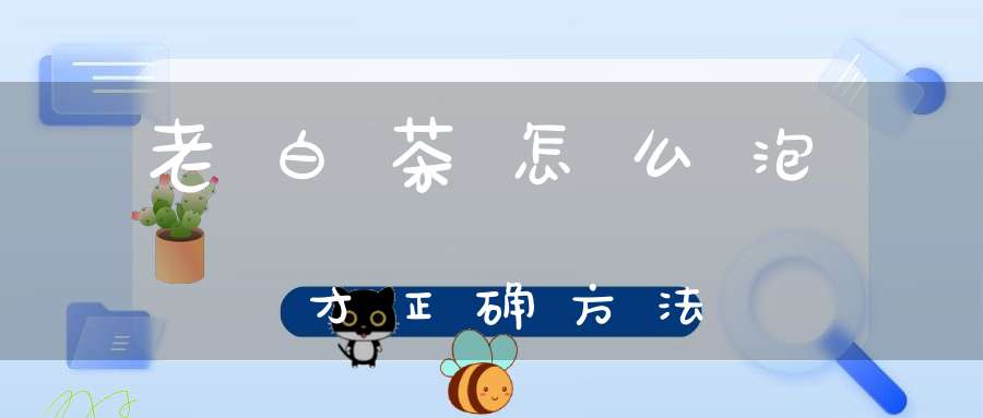 老白茶怎么泡才正确方法