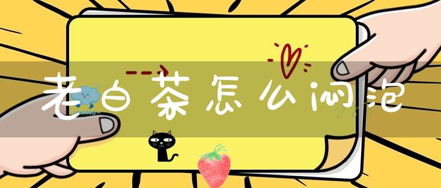 老白茶怎么闷泡