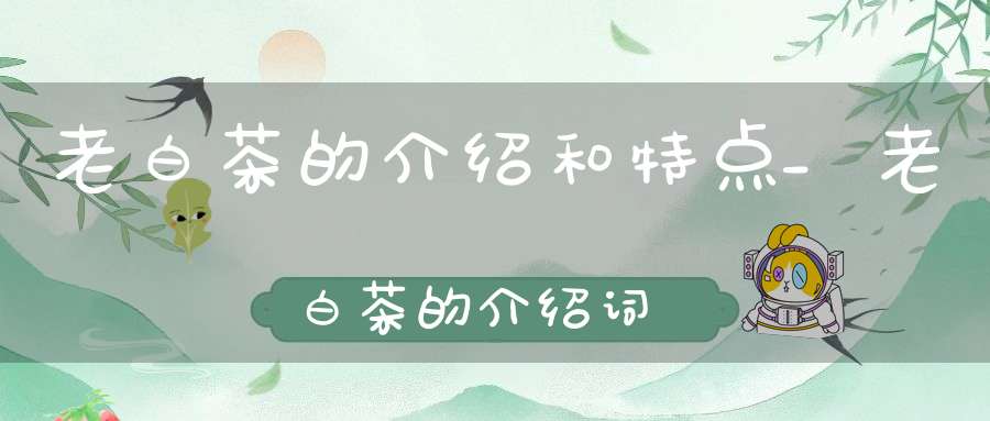 老白茶的介绍和特点_老白茶的介绍词