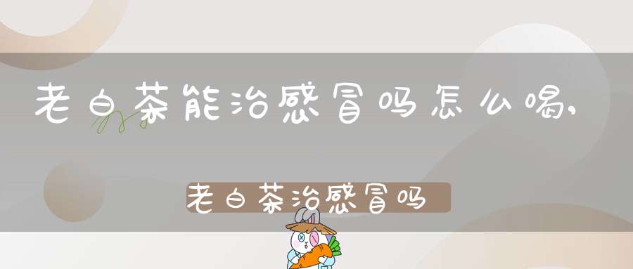 老白茶能治感冒吗怎么喝,老白茶治感冒吗是真的吗