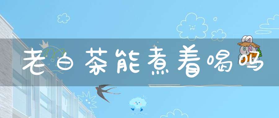 老白茶能煮着喝吗