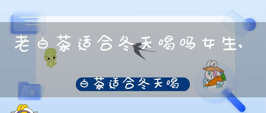 老白茶适合冬天喝吗女生,白茶适合冬天喝吗女生