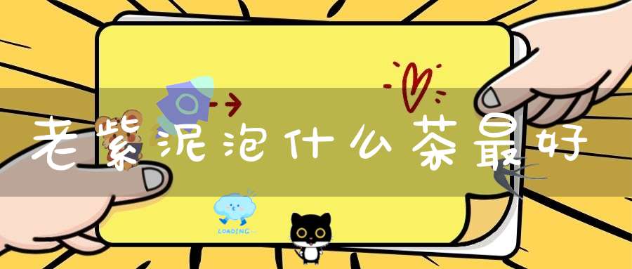 老紫泥泡什么茶最好