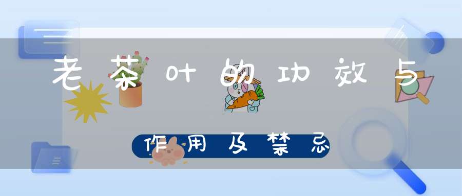 老茶叶的功效与作用及禁忌