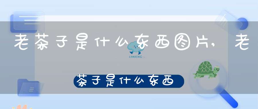 老茶子是什么东西图片,老茶子是什么东西做的