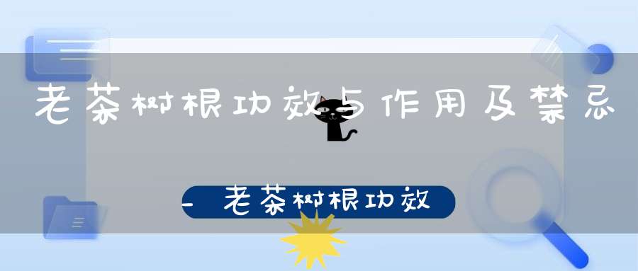老茶树根功效与作用及禁忌_老茶树根功效和作用