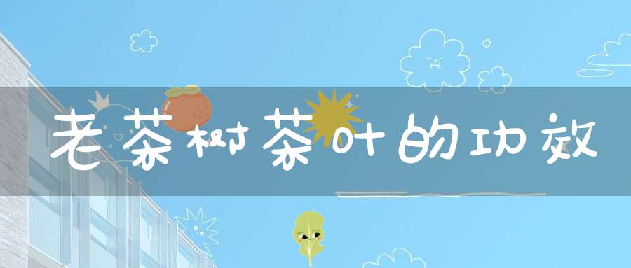 老茶树茶叶的功效