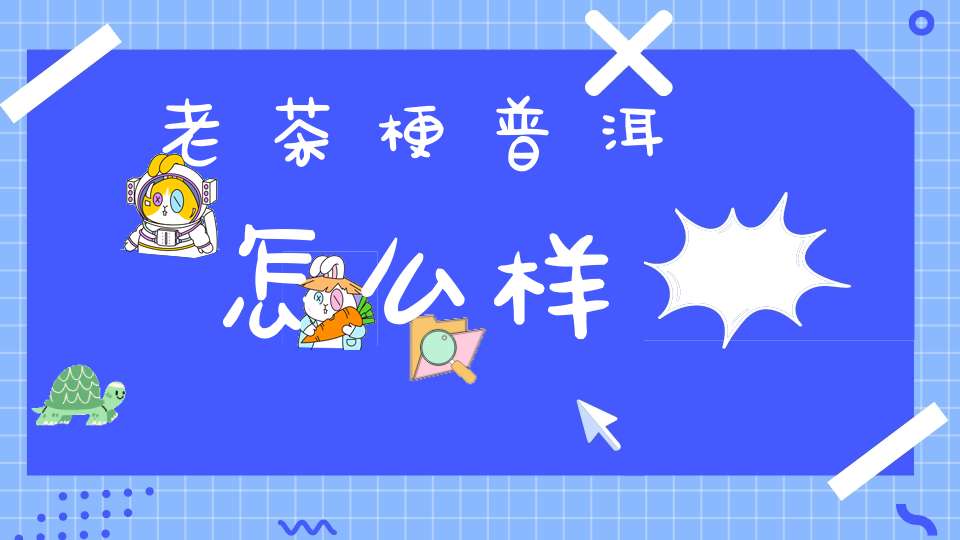 老茶梗普洱怎么样