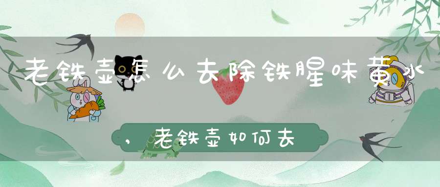 老铁壶怎么去除铁腥味黄水,老铁壶如何去铁锈