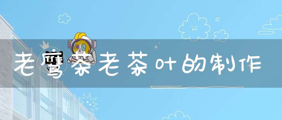 老鹰茶老茶叶的制作