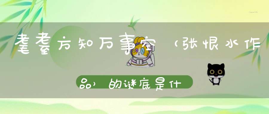 耄耋方知万事空 （张恨水作品）的谜底是什么?