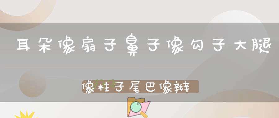 耳朵像扇子，鼻子像勾子，大腿像柱子，尾巴像辫子。 （猜一动物）