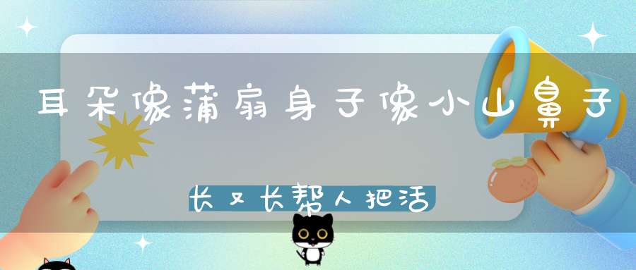 耳朵像蒲扇，身子像小山，鼻子长又长，帮人把活干（打一动物）