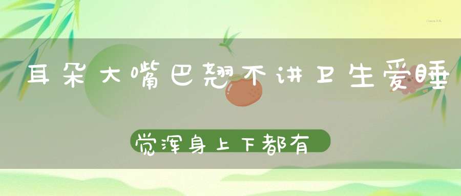 耳朵大，嘴巴翘，不讲卫生爱睡觉，浑身上下都有用，人们称它农家宝。 （猜一动物）