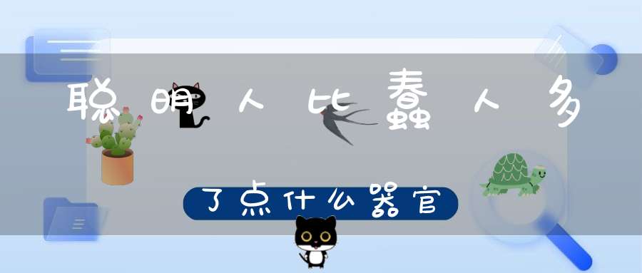 聪明人比蠢人多了点什么器官