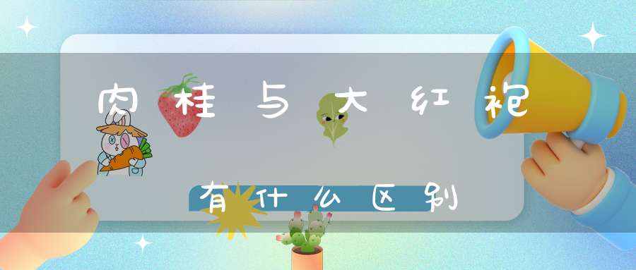肉桂与大红袍有什么区别