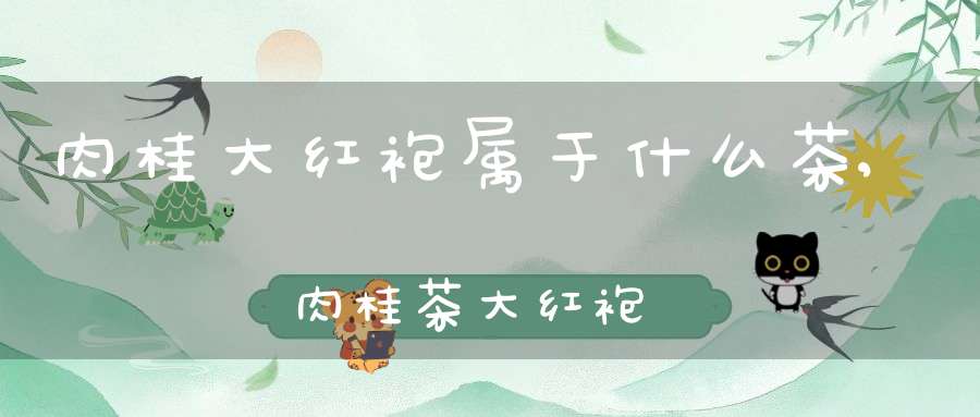 肉桂大红袍属于什么茶,肉桂茶大红袍