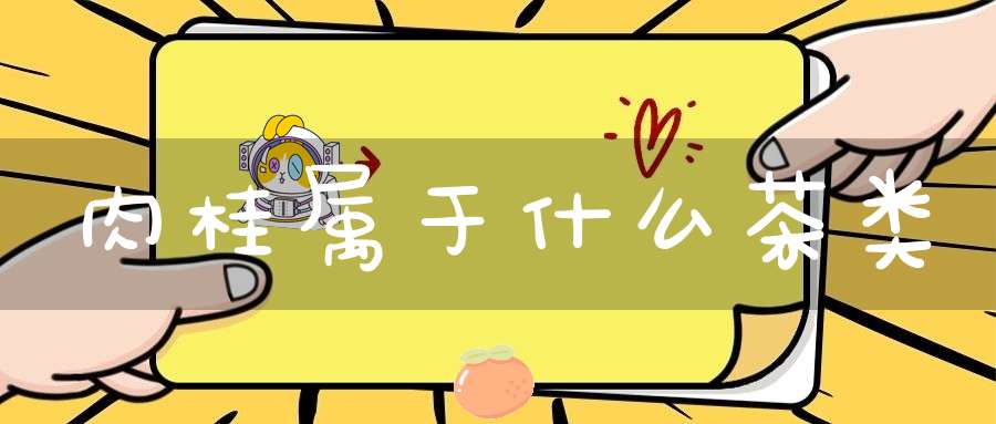 肉桂属于什么茶类