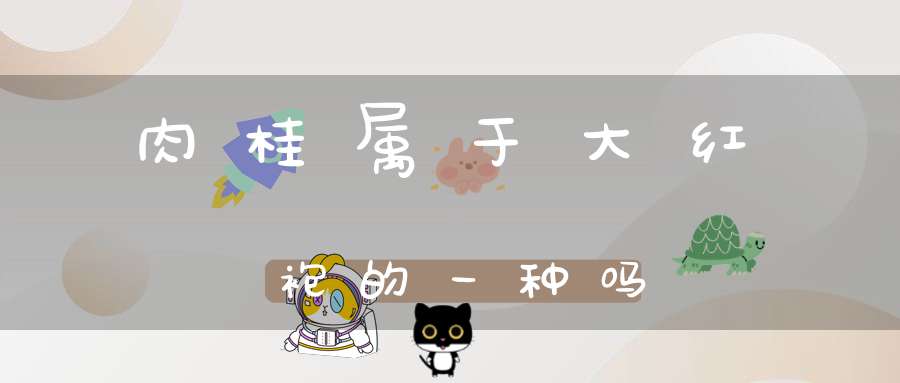 肉桂属于大红袍的一种吗?