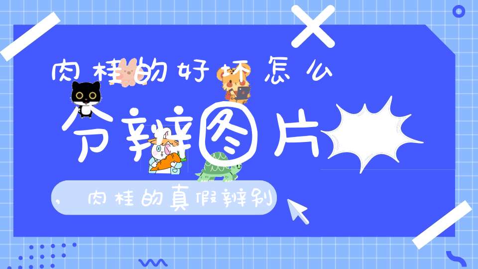 肉桂的好坏怎么分辨图片,肉桂的真假辨别