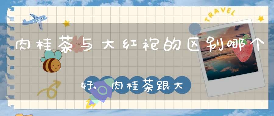 肉桂茶与大红袍的区别哪个好,肉桂茶跟大红袍一样吗