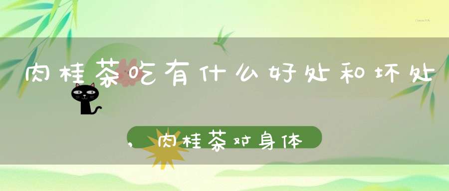 肉桂茶吃有什么好处和坏处,肉桂茶对身体好吗