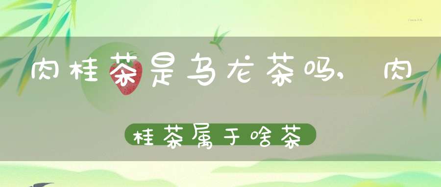 肉桂茶是乌龙茶吗,肉桂茶属于啥茶