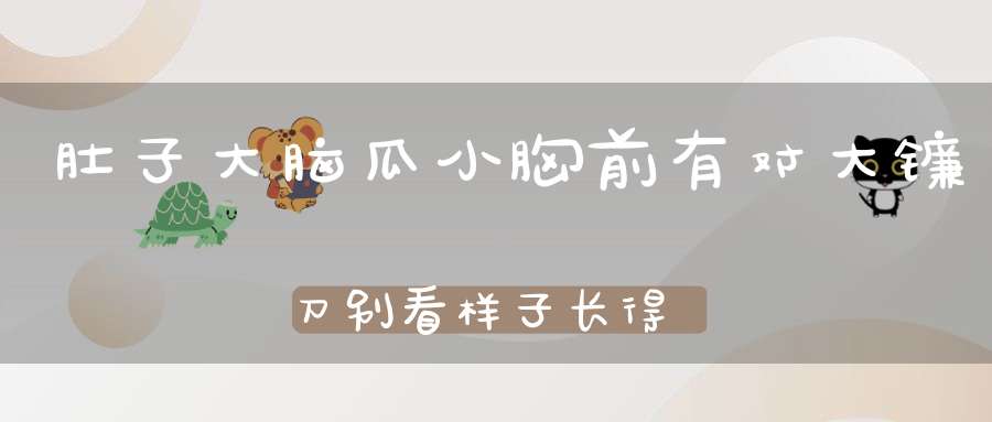 肚子大，脑瓜小，胸前有对大镰刀，别看样子长得笨，捕捉呱呱叫。 （猜一动物）