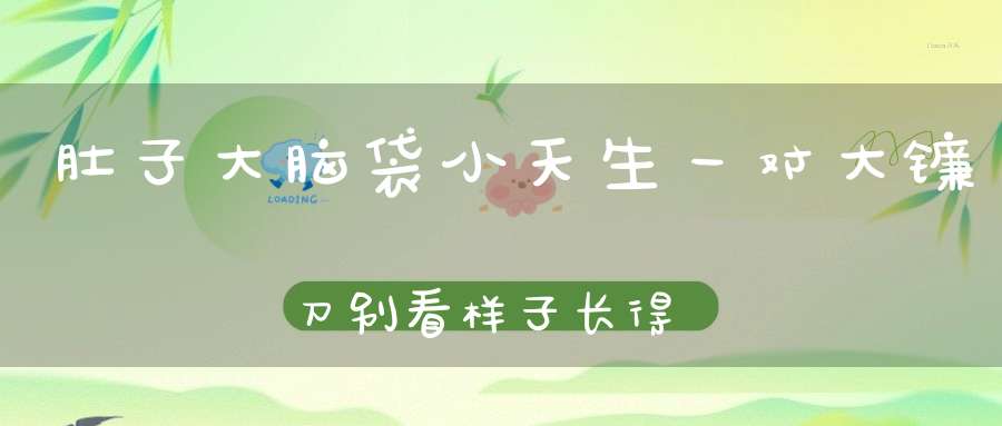 肚子大，脑袋小，天生一对大镰刀，别看样子长得笨，捕捉害虫本领高。 （猜一动物）