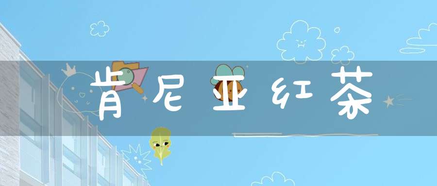 肯尼亚红茶