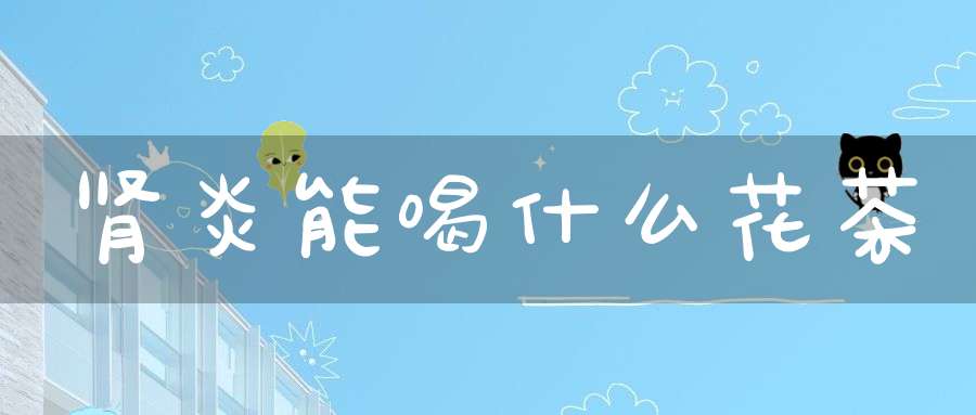 肾炎能喝什么花茶