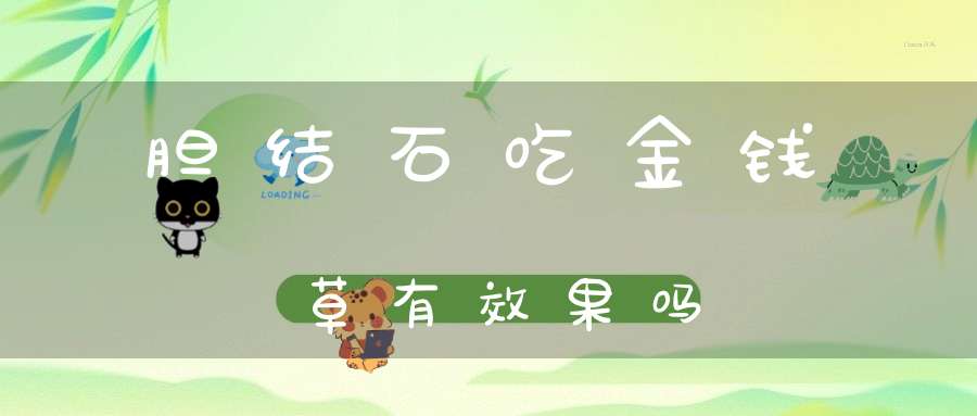 胆结石吃金钱草有效果吗？