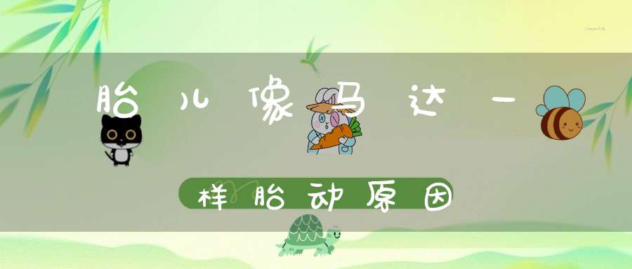 胎儿像马达一样胎动原因