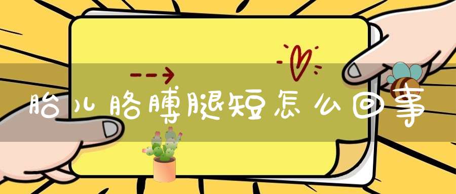 胎儿胳膊腿短怎么回事