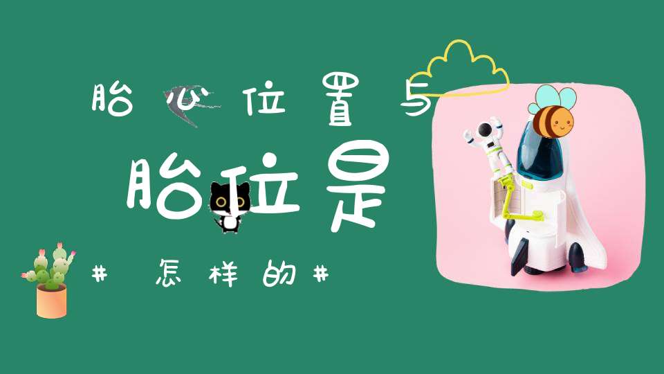 胎心位置与胎位是怎样的