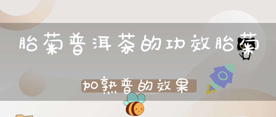 胎菊普洱茶的功效胎菊加熟普的效果