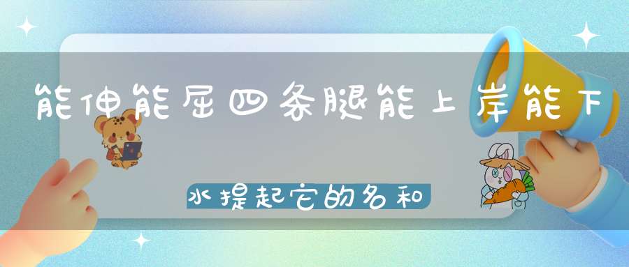 能伸能屈四条腿，能上岸能下水，提起它的名和姓，惹得人家笑歪嘴。 （猜一动物）
